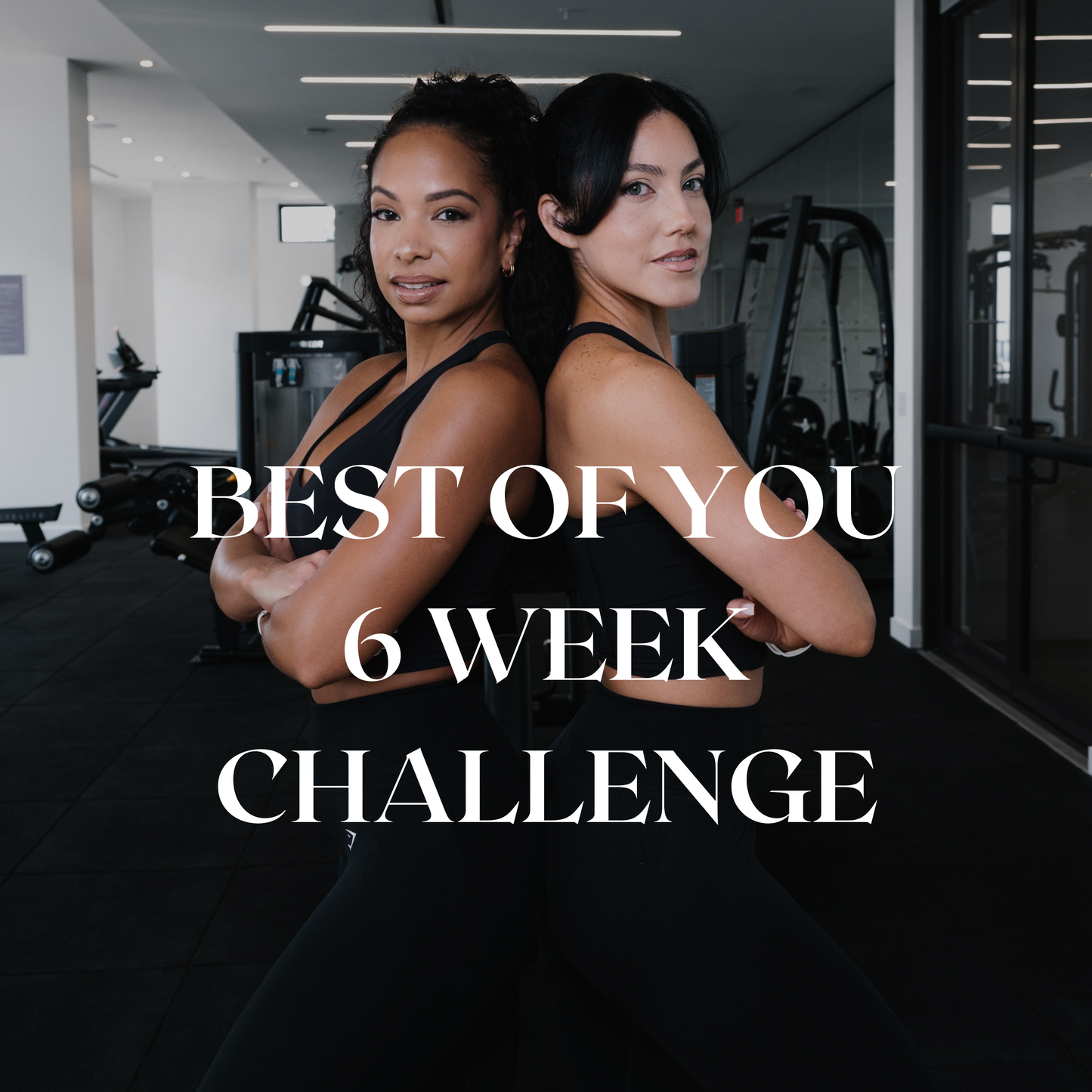 6 WEEK CHALLENGE